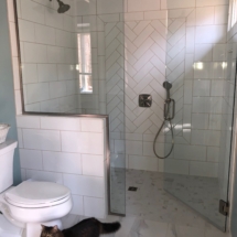 hand-shower controls in back