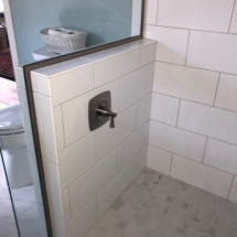 shower control near entry controls main shower head