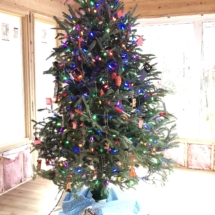 christmas in midst of remodeling