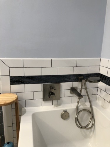 Tub with hand shower